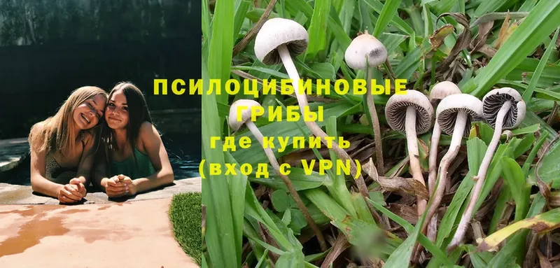 ссылка на мегу зеркало  Еманжелинск  Псилоцибиновые грибы Magic Shrooms 